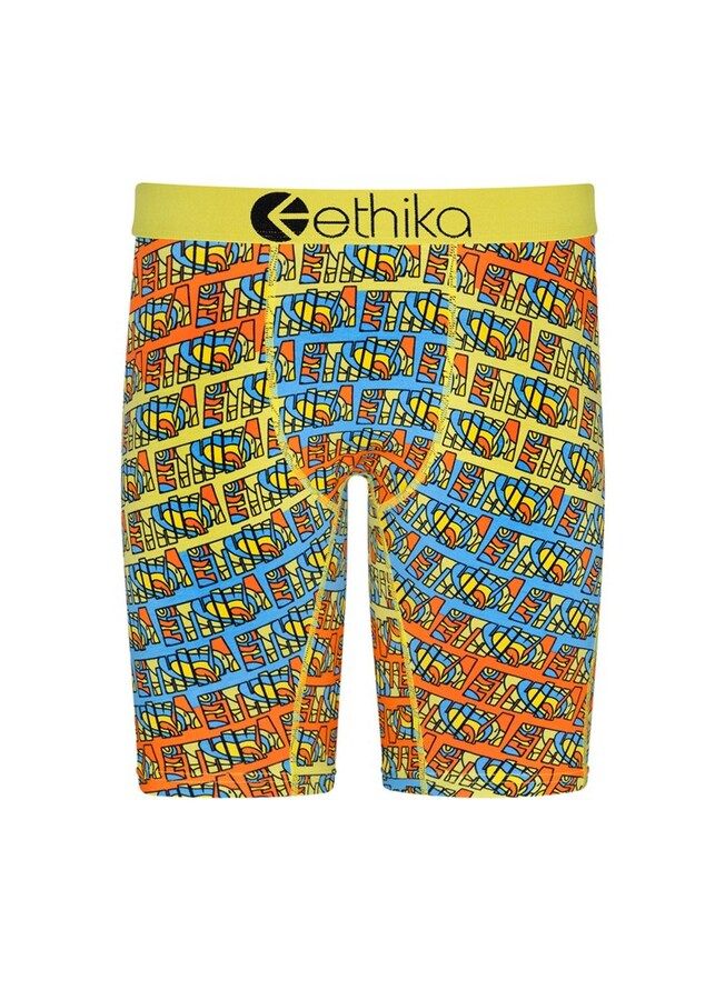 Youth Boy's Ethika Vibrent Briefs